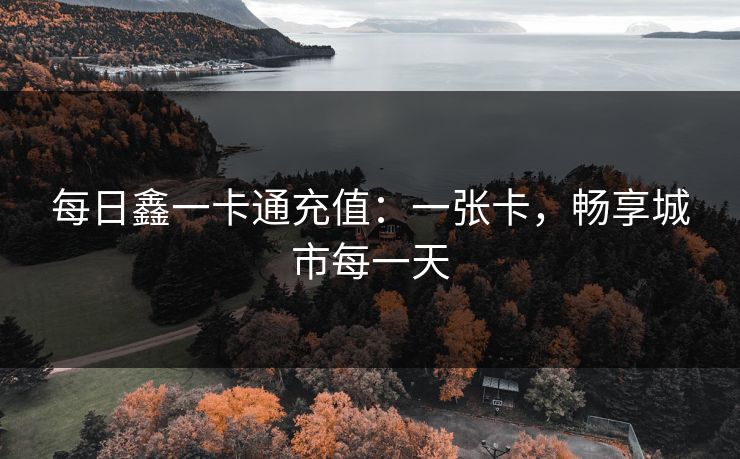 每日鑫一卡通充值：一张卡，畅享城市每一天