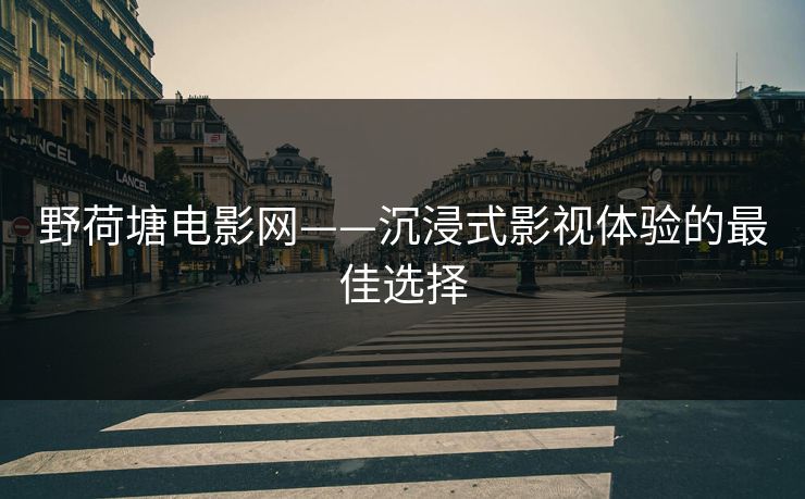 野荷塘电影网——沉浸式影视体验的最佳选择