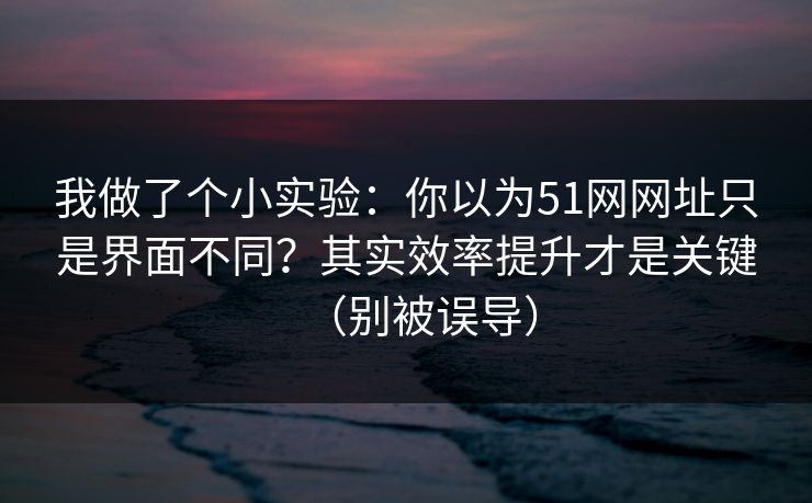 我做了个小实验：你以为51网网址只是界面不同？其实效率提升才是关键（别被误导）